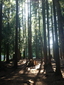 Meditation grove - Mundy Park